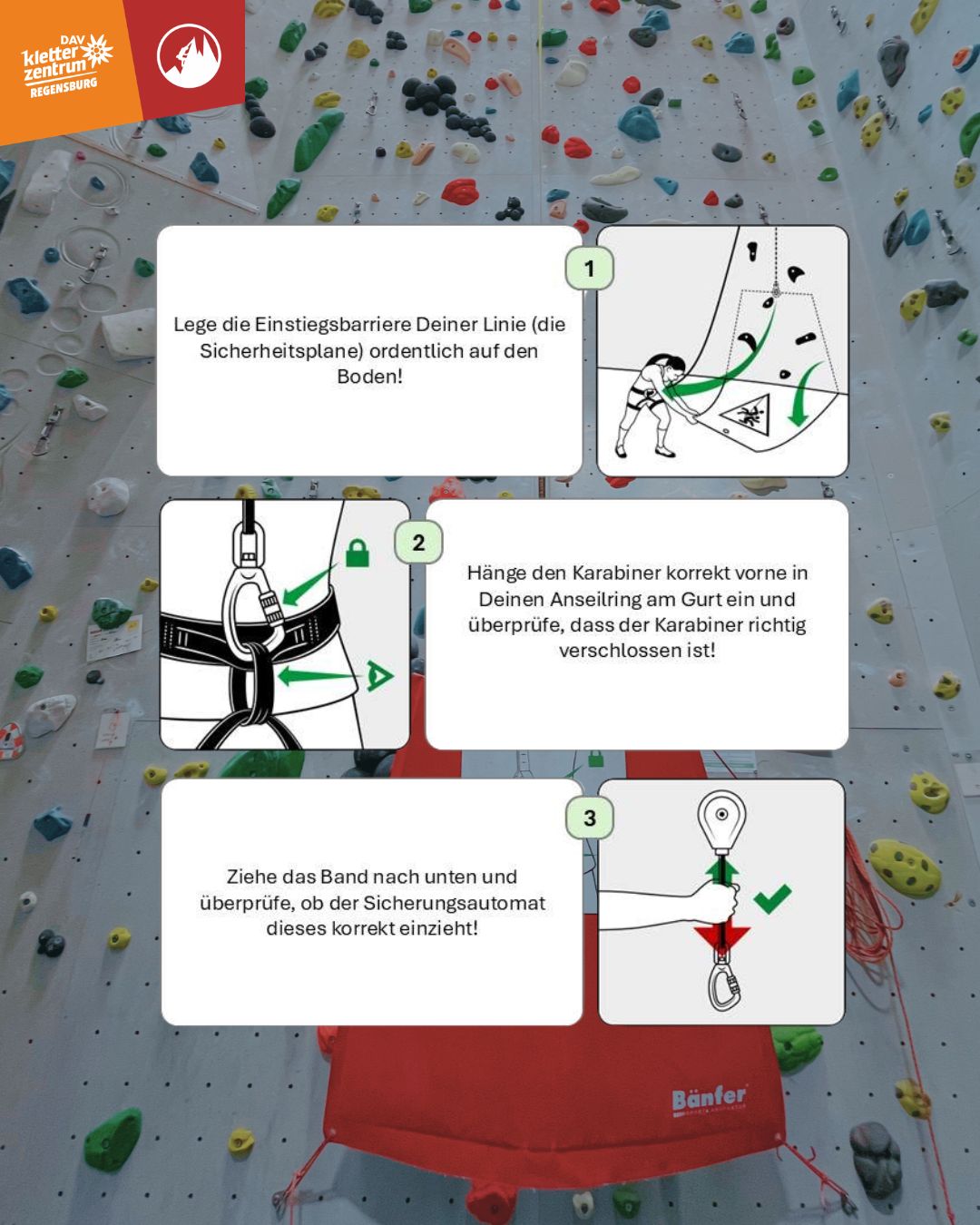 Autobelay 2